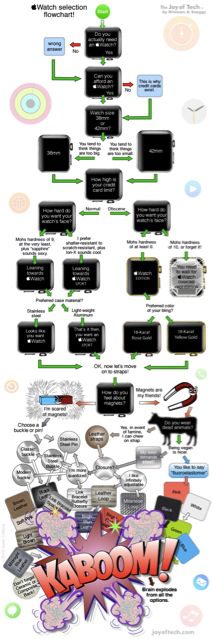 Apple Watch Flow Chart