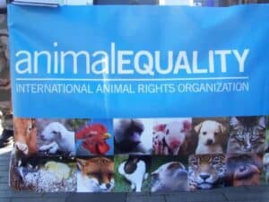 Virtual Reality - Animal Equity VR Video