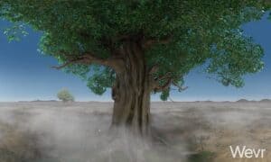 Meditation in Virtual Reality - Bodhi Tree