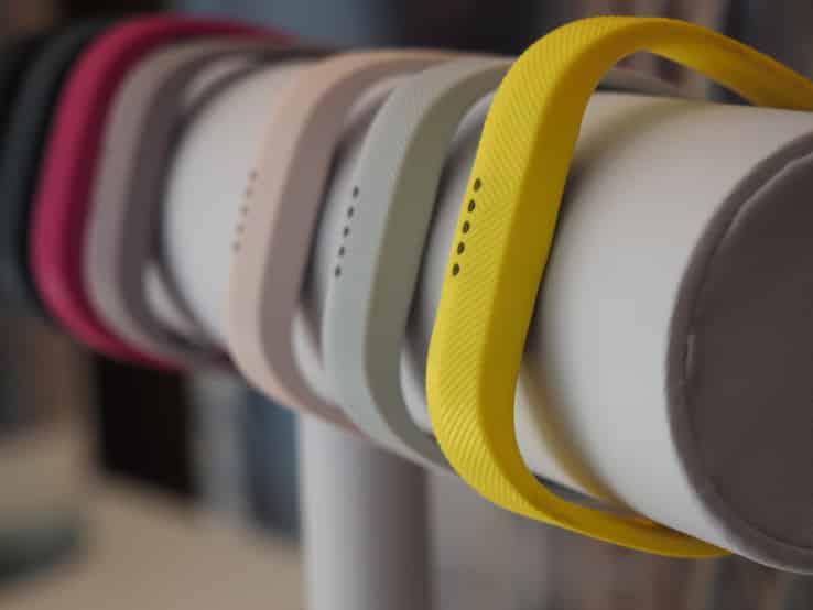 Fitbit Wearables in 2017.