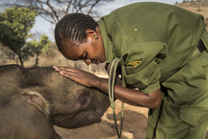 Conservation International's VR Project at Tribeca