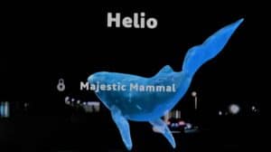 The Magic Leap whale