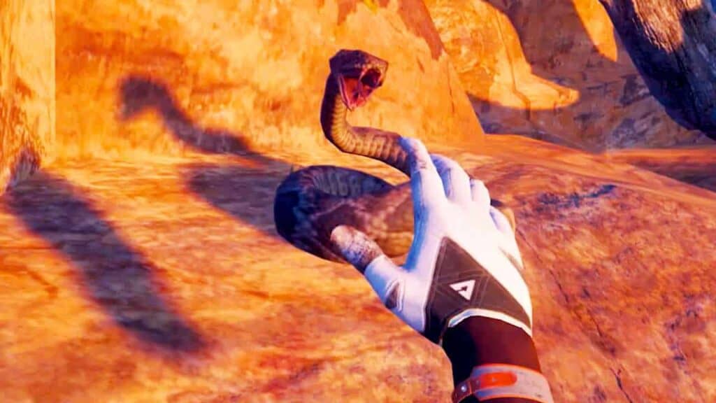 Encountering a snake on a ledge as you head toward a summit.