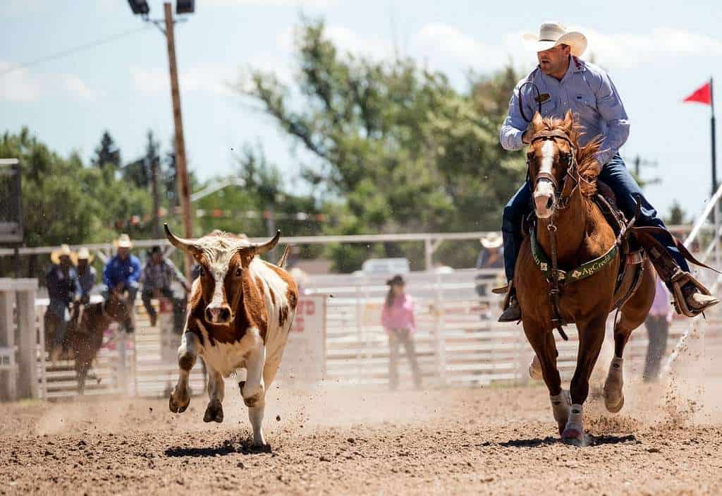 Cheyenne, Wyoming Frontier Days celebration. Wyoming may be rural state but has broken election barriers before. 